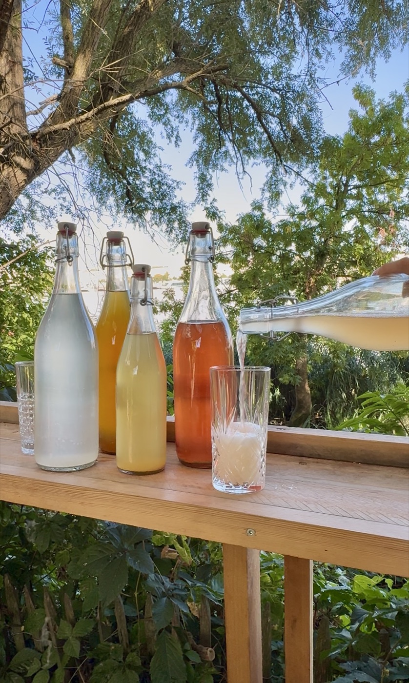 Bouteilles de kombucha et kéfir de fruit sur un muret en bois