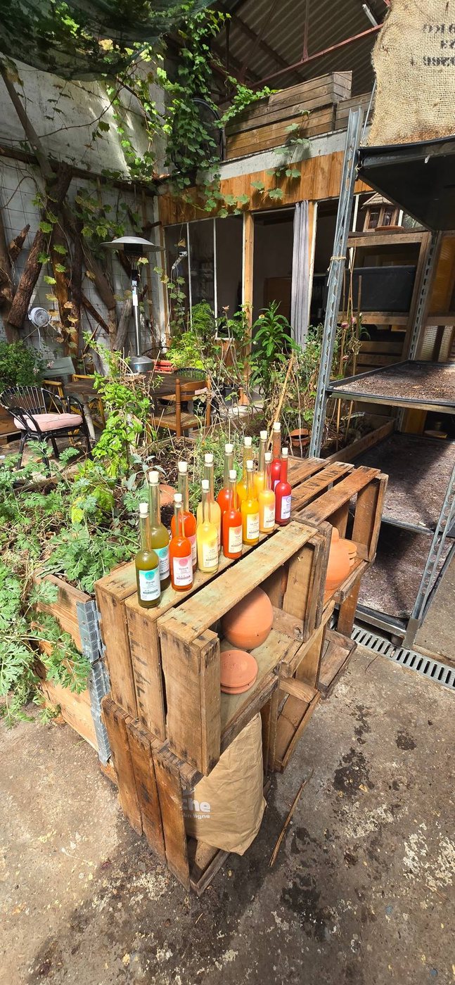Les bouteilles de sauces alignées sur des caisses en bois au milieu du jardin