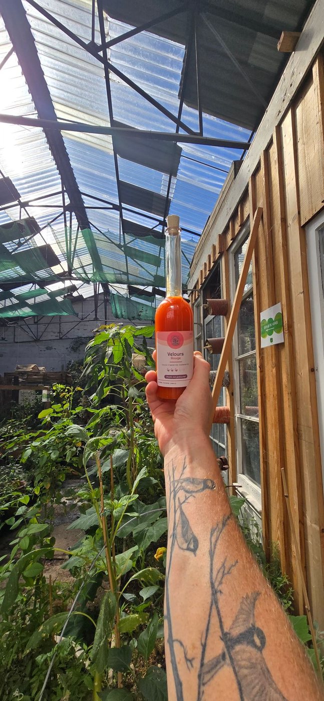 Une bouteille de Velours Rouge tenue à bout de bras sous la verrière