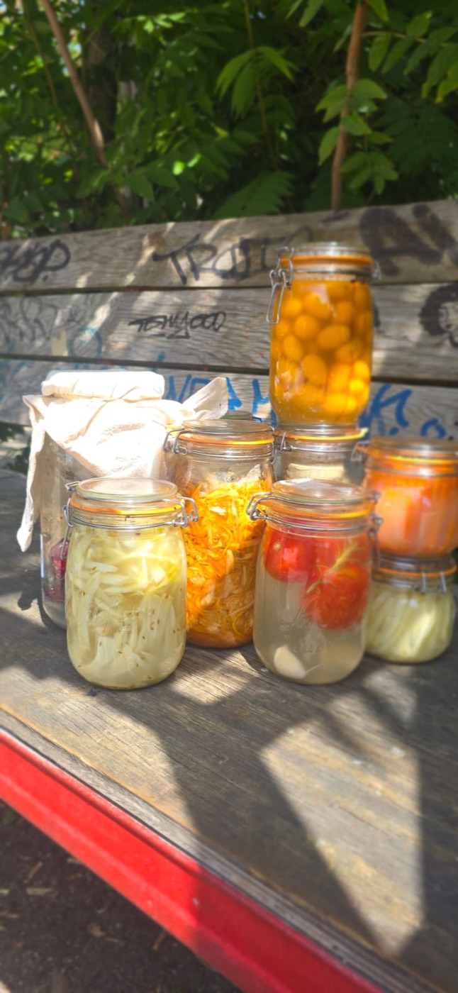 Bocaux de légumes lactofermentés colorés