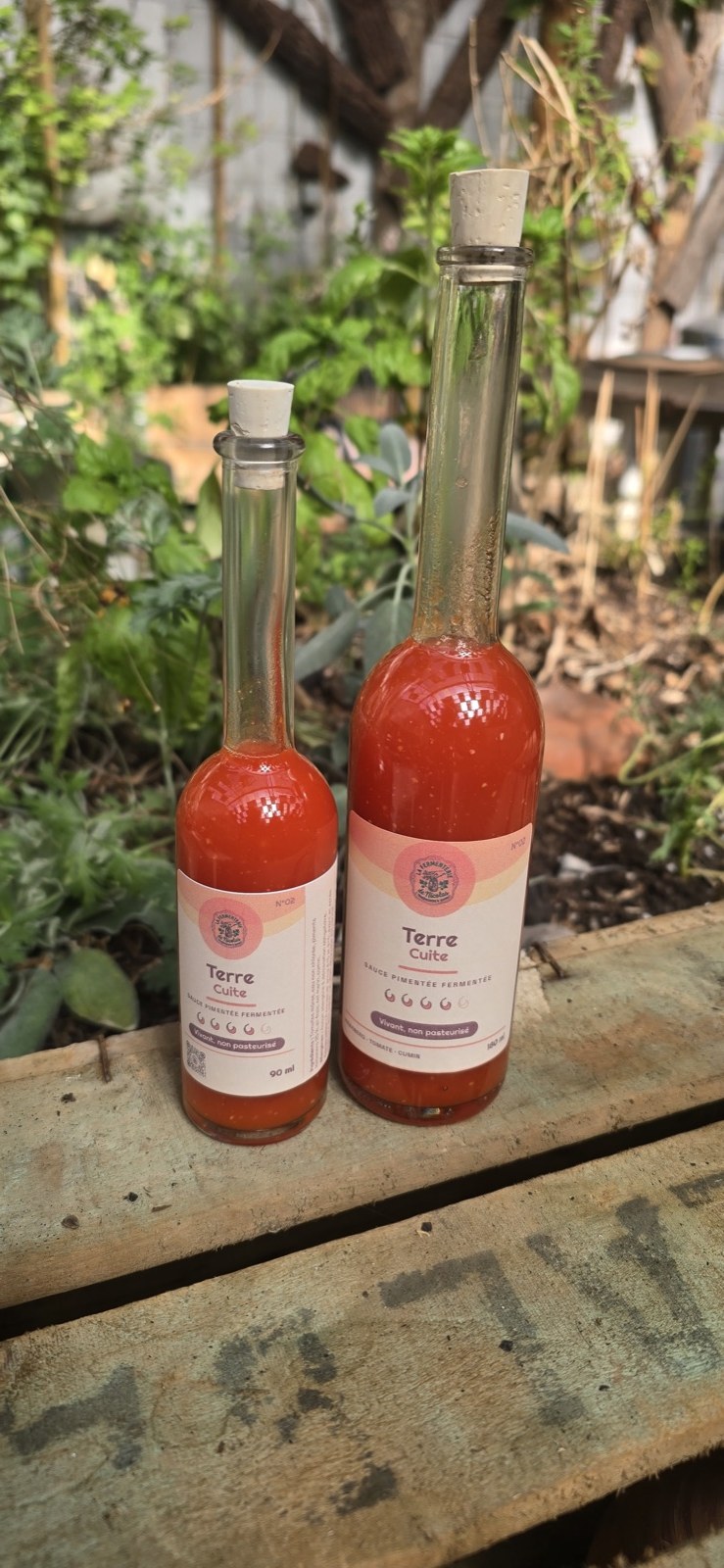 Deux bouteilles de sauce pimentée fermentée « Terre Cuite » (90 ml et 180 ml) de La Fermenterie de Nicolas